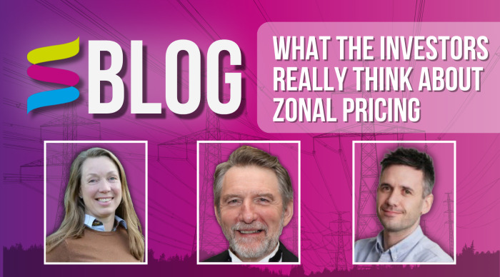 BLOG: What the investors really think about zonal pricing