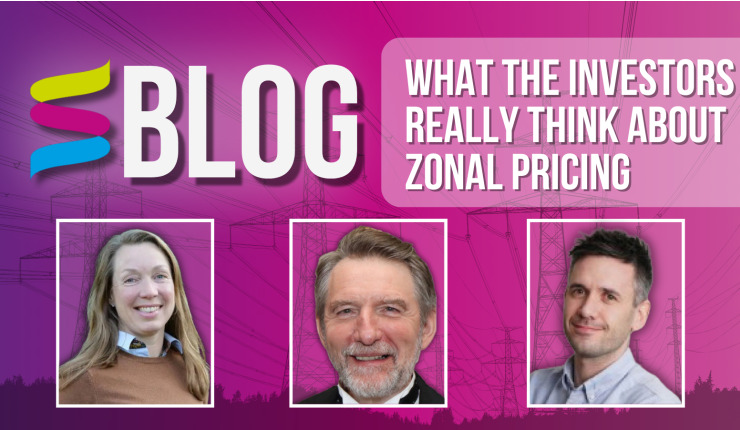 BLOG: What the investors really think about zonal pricing