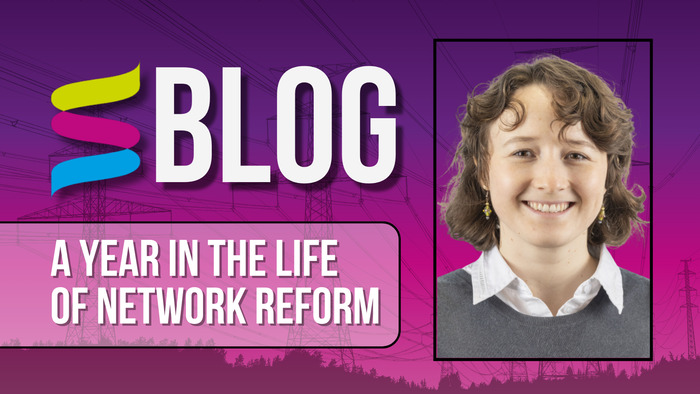 a year in the life of network reform graphic 