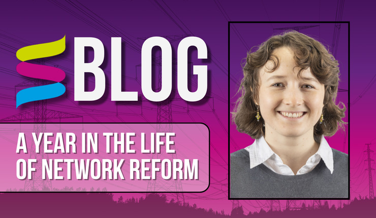 a year in the life of network reform graphic 